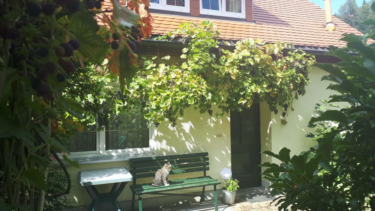 Ferienhaus Puttrich Hohnstein Exterior photo